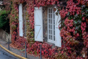 Sarlat, France, Travel Photography © CODY MASTEL