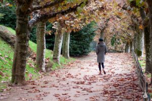 Sarlat, France, Travel Photography © CODY MASTEL