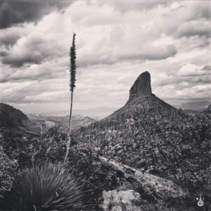 arizona, © CODY MASTEL