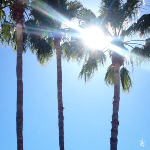 arizona, © CODY MASTEL