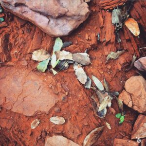 arizona, © CODY MASTEL