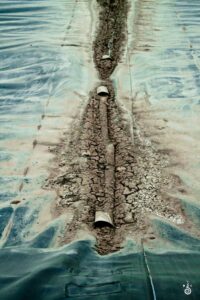 © CODY MASTEL, cows, dairy farm