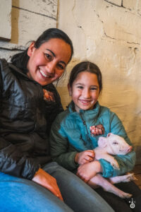 Pigs - 2025 © Cody Mastel