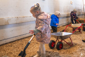 Lambs - 2025 © Cody Mastel