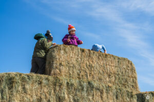 Kids - 2025 © Cody Mastel