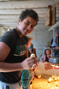 Chickens - 2025 © Cody Mastel